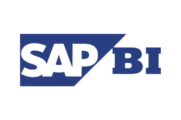 Understanding SAP Business Intelligence and Analytics