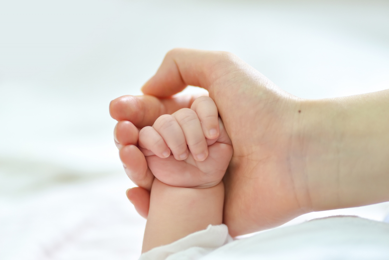 Your Trusted Partner for Comprehensive Insurance Coverage